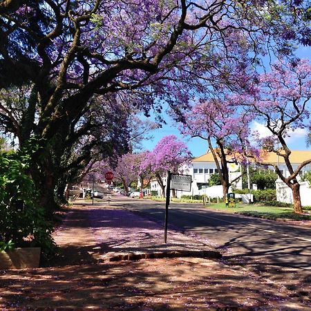 Waterhouse Guest Lodge In Muckleneuk Pretoria-Noord Eksteriør bilde