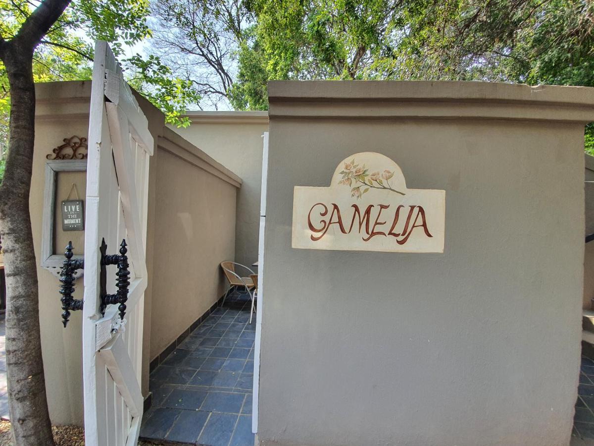 Waterhouse Guest Lodge In Muckleneuk Pretoria-Noord Rom bilde