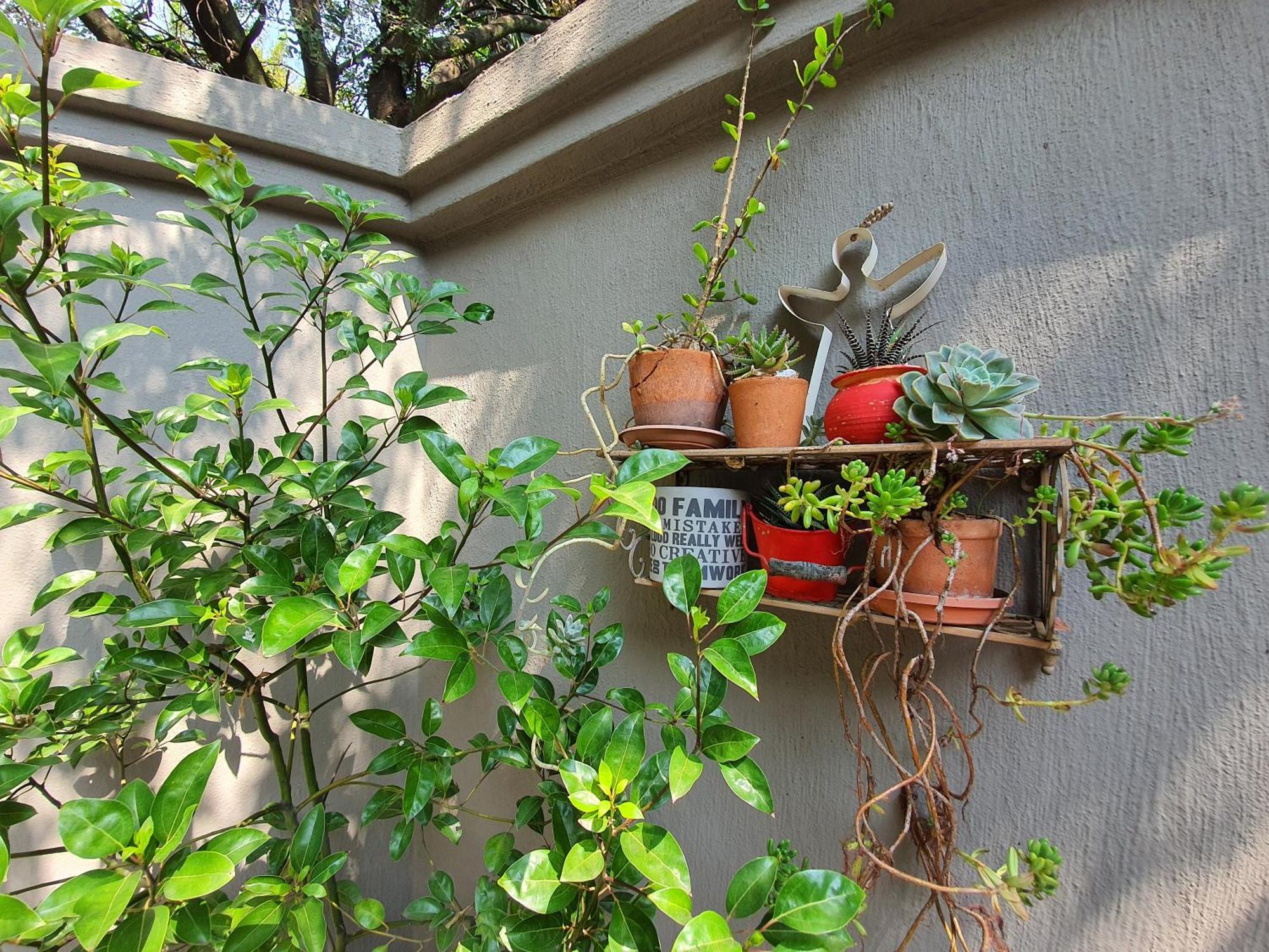 Waterhouse Guest Lodge In Muckleneuk Pretoria-Noord Rom bilde